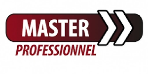 Quelle est la contribution de la transformation digitale à la performance des PME togolaises ?  Jean TCHALIM explore avec brio le sujet pour son Master professionnel