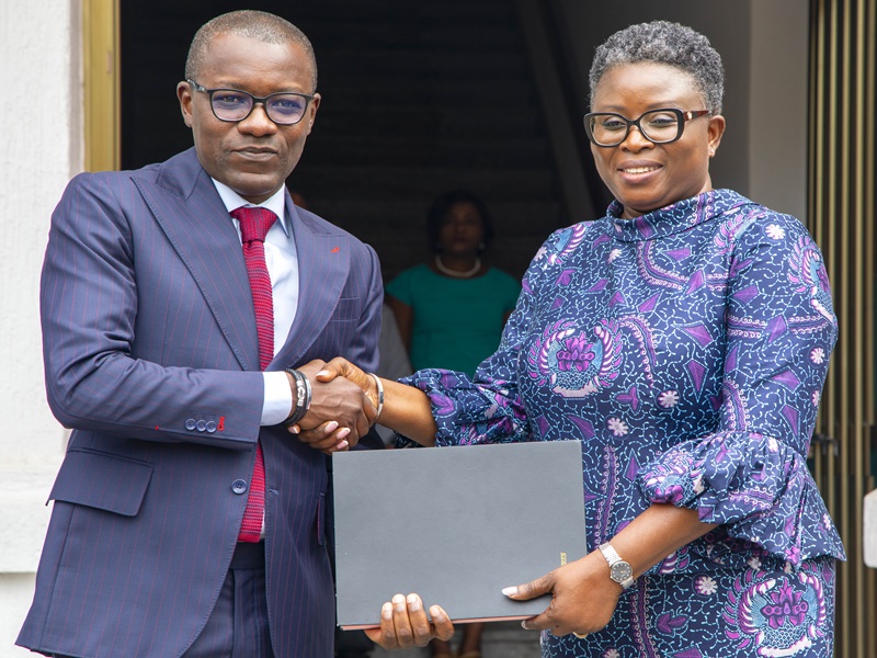 Politique : Les vraies raisons de la retouche du gouvernement Dogbé 1   / Ministre Yawa KOUIGAN Â« right person at the right place Â»