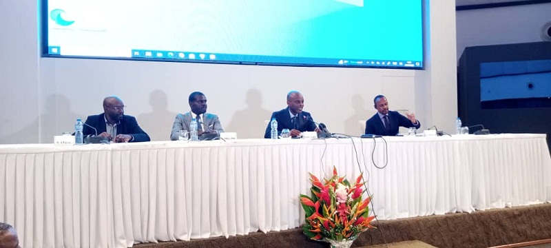 Consultation pour la paix au Soudan : Lomé obtient le respect d'un corridor pour l'aide humanitaire au Darfour